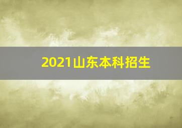 2021山东本科招生