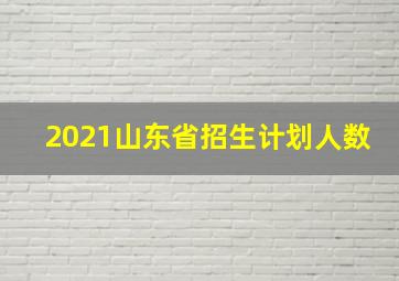 2021山东省招生计划人数