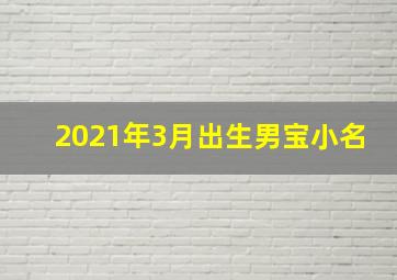 2021年3月出生男宝小名