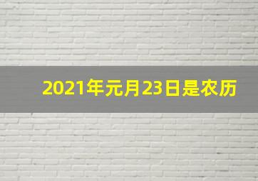 2021年元月23日是农历