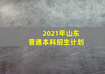 2021年山东普通本科招生计划