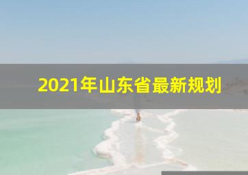 2021年山东省最新规划