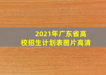 2021年广东省高校招生计划表图片高清