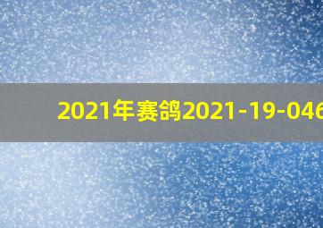 2021年赛鸽2021-19-04630