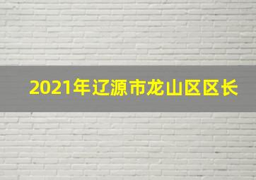 2021年辽源市龙山区区长