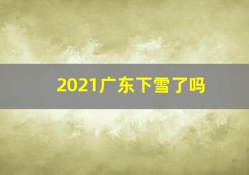 2021广东下雪了吗