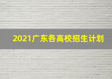 2021广东各高校招生计划