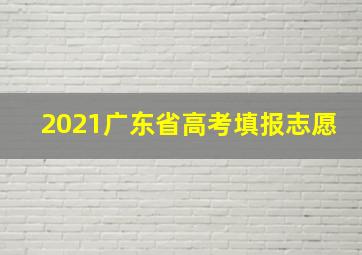 2021广东省高考填报志愿