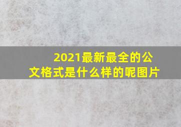 2021最新最全的公文格式是什么样的呢图片