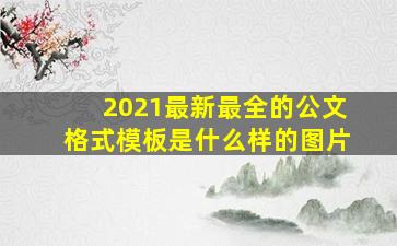 2021最新最全的公文格式模板是什么样的图片