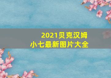 2021贝克汉姆小七最新图片大全