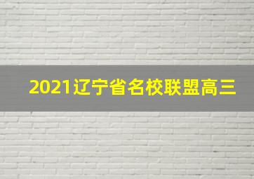 2021辽宁省名校联盟高三