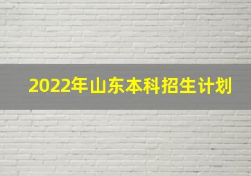 2022年山东本科招生计划