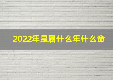 2022年是属什么年什么命