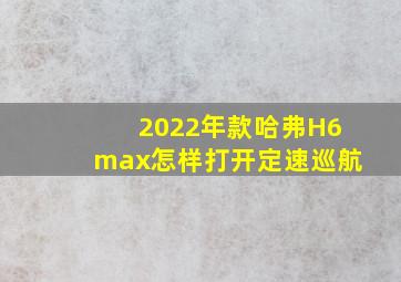 2022年款哈弗H6max怎样打开定速巡航