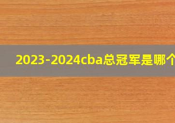 2023-2024cba总冠军是哪个队