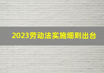 2023劳动法实施细则出台