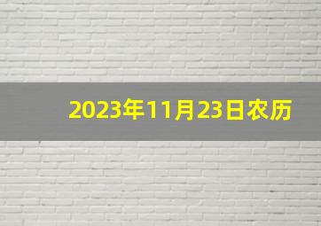 2023年11月23日农历