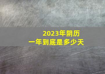 2023年阴历一年到底是多少天