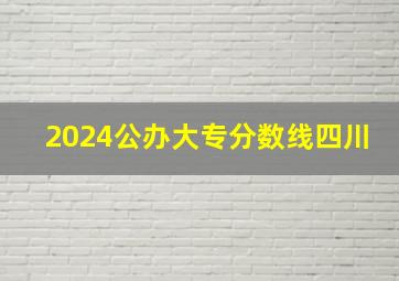 2024公办大专分数线四川