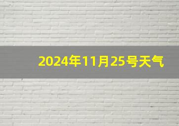 2024年11月25号天气