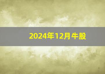 2024年12月牛股