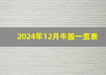 2024年12月牛股一览表