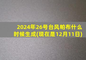 2024年26号台风帕布什么时候生成(现在是12月11日)