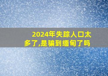 2024年失踪人口太多了,是骗到缅甸了吗