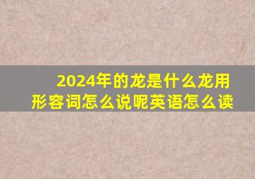 2024年的龙是什么龙用形容词怎么说呢英语怎么读