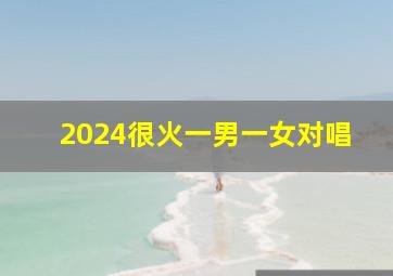 2024很火一男一女对唱