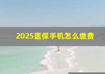 2025医保手机怎么缴费