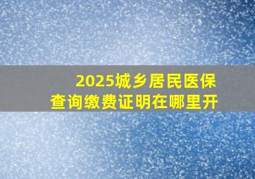 2025城乡居民医保查询缴费证明在哪里开