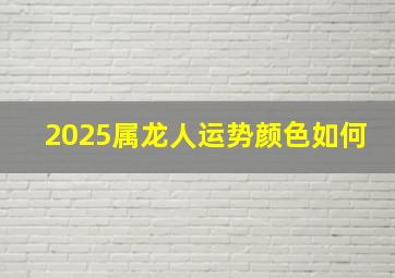 2025属龙人运势颜色如何