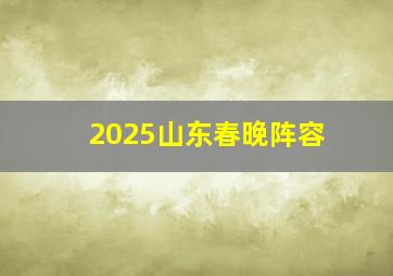 2025山东春晚阵容