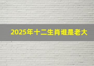 2025年十二生肖谁是老大