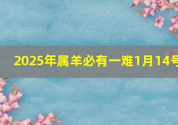 2025年属羊必有一难1月14号