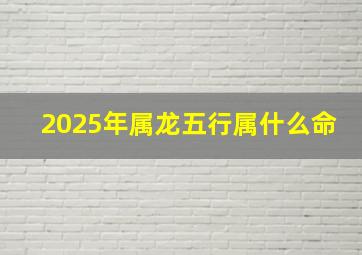 2025年属龙五行属什么命