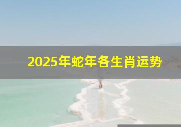 2025年蛇年各生肖运势