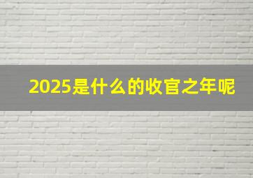 2025是什么的收官之年呢