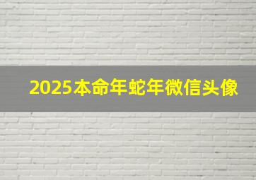 2025本命年蛇年微信头像