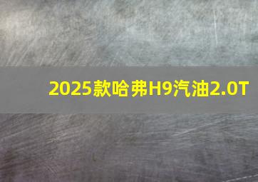 2025款哈弗H9汽油2.0T