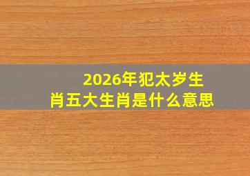 2026年犯太岁生肖五大生肖是什么意思