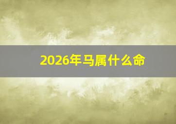 2026年马属什么命