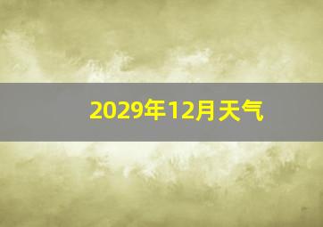 2029年12月天气