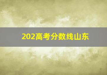 202高考分数线山东