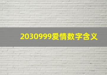 2030999爱情数字含义