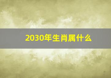 2030年生肖属什么