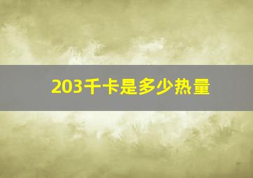 203千卡是多少热量