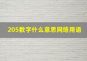 205数字什么意思网络用语